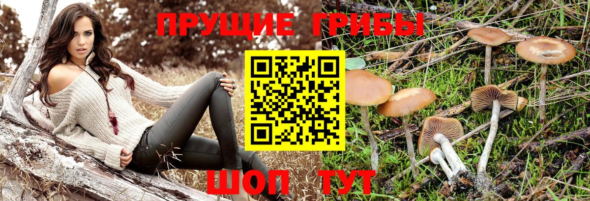 Галлюциногенные грибы Psilocybe  Вход с VPN  Чусовой  Галлюциногенные грибы Magic Shrooms 