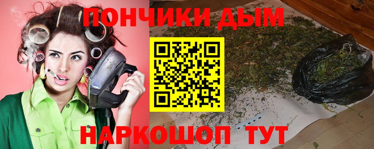 Конопля гибрид  Бошки Шишки Amnesia  Чусовой  Вход с VPN 